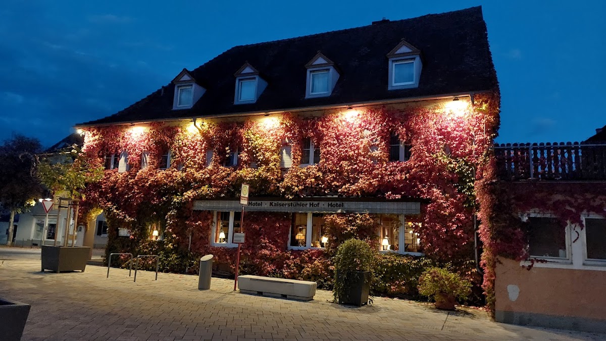 Restaurant Elsaßer Hof - Breisach Am Rhein-4